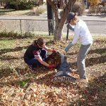 raking-hub-day